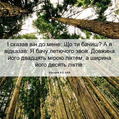 Picture 06 - Захарія 5:2 UKR - І сказав він до мене: Що ти - Bible Verse Picture