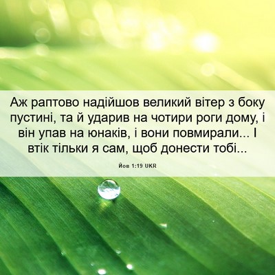 Picture 06 - Йов 1:19 UKR - Аж раптово надійшов - Bible Verse Picture