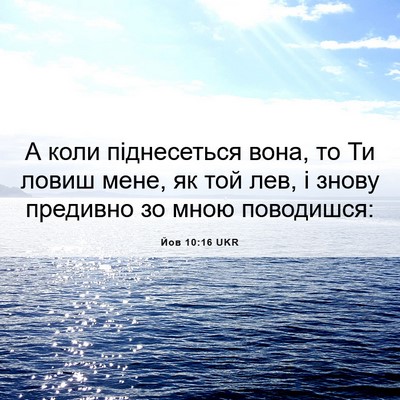 Picture 06 - Йов 10:16 UKR - А коли піднесеться вона, то - Bible Verse Picture