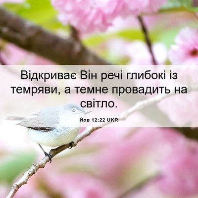 Picture 06 - Йов 12:22 UKR - Відкриває Він речі глибокі - Bible Verse Picture