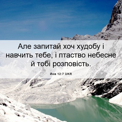 Picture 06 - Йов 12:7 UKR - Але запитай хоч худобу і - Bible Verse Picture