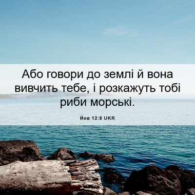 Picture 06 - Йов 12:8 UKR - Або говори до землі й вона - Bible Verse Picture