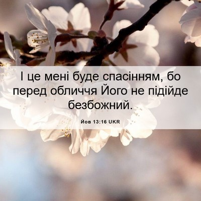 Picture 06 - Йов 13:16 UKR - І це мені буде спасінням, - Bible Verse Picture