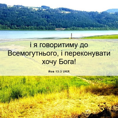 Picture 06 - Йов 13:3 UKR - і я говоритиму до - Bible Verse Picture