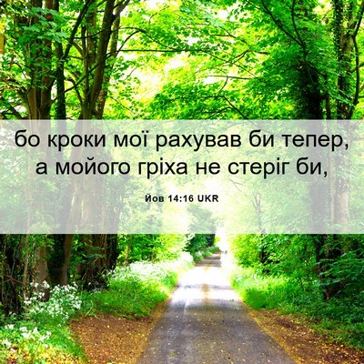 Picture 06 - Йов 14:16 UKR - бо кроки мої рахував би - Bible Verse Picture