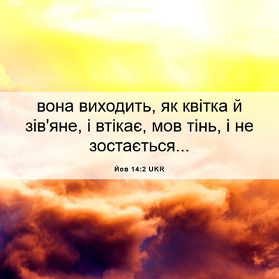 Picture 06 - Йов 14:2 UKR - вона виходить, як квітка й - Bible Verse Picture