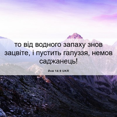 Picture 06 - Йов 14:9 UKR - то від водного запаху знов - Bible Verse Picture