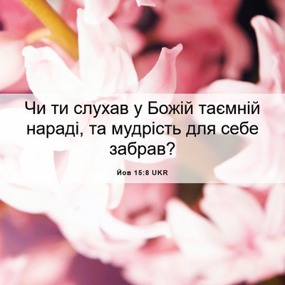 Picture 06 - Йов 15:8 UKR - Чи ти слухав у Божій - Bible Verse Picture