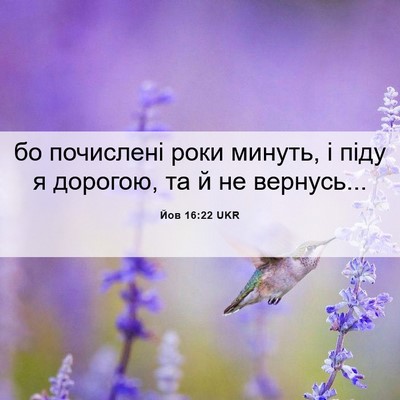 Picture 06 - Йов 16:22 UKR - бо почислені роки минуть, і - Bible Verse Picture