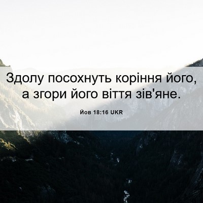 Picture 06 - Йов 18:16 UKR - Здолу посохнуть коріння - Bible Verse Picture