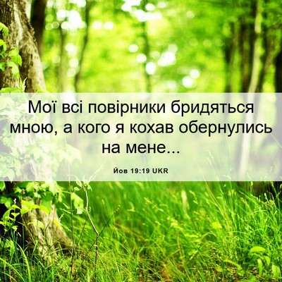 Picture 06 - Йов 19:19 UKR - Мої всі повірники - Bible Verse Picture