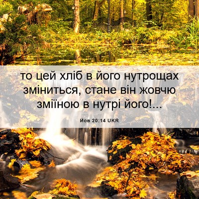 Picture 06 - Йов 20:14 UKR - то цей хліб в його нутрощах - Bible Verse Picture