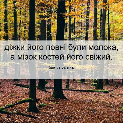 Picture 06 - Йов 21:24 UKR - діжки його повні були - Bible Verse Picture