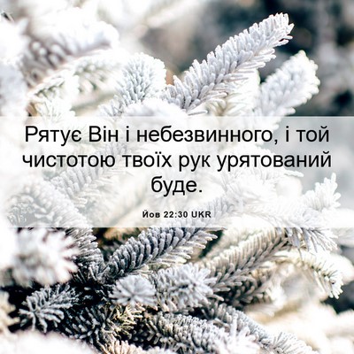Picture 06 - Йов 22:30 UKR - Рятує Він і небезвинного, і - Bible Verse Picture