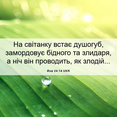 Picture 06 - Йов 24:14 UKR - На світанку встає душогуб, - Bible Verse Picture