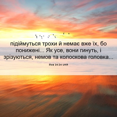 Picture 06 - Йов 24:24 UKR - підіймуться трохи й немає - Bible Verse Picture