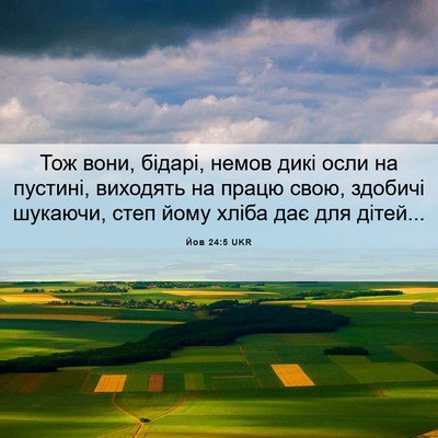Picture 06 - Йов 24:5 UKR - Тож вони, бідарі, немов - Bible Verse Picture