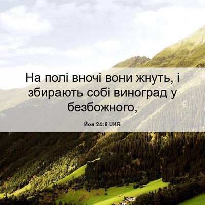 Picture 06 - Йов 24:6 UKR - На полі вночі вони жнуть, і - Bible Verse Picture