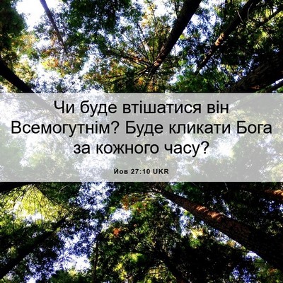 Picture 06 - Йов 27:10 UKR - Чи буде втішатися він - Bible Verse Picture