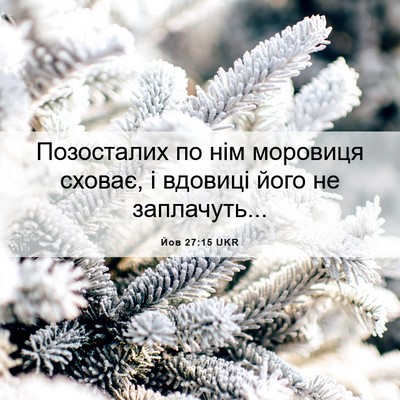 Picture 06 - Йов 27:15 UKR - Позосталих по нім моровиця - Bible Verse Picture