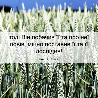 Picture 06 - Йов 28:27 UKR - тоді Він побачив її та про - Bible Verse Picture