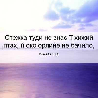 Picture 06 - Йов 28:7 UKR - Стежка туди не знає її - Bible Verse Picture
