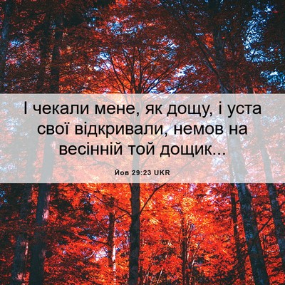 Picture 06 - Йов 29:23 UKR - І чекали мене, як дощу, і - Bible Verse Picture