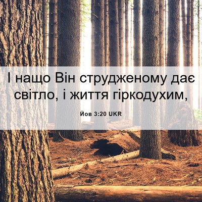 Picture 06 - Йов 3:20 UKR - І нащо Він струдженому дає - Bible Verse Picture
