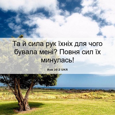 Picture 06 - Йов 30:2 UKR - Та й сила рук їхніх для - Bible Verse Picture