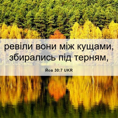 Picture 06 - Йов 30:7 UKR - ревіли вони між кущами, - Bible Verse Picture