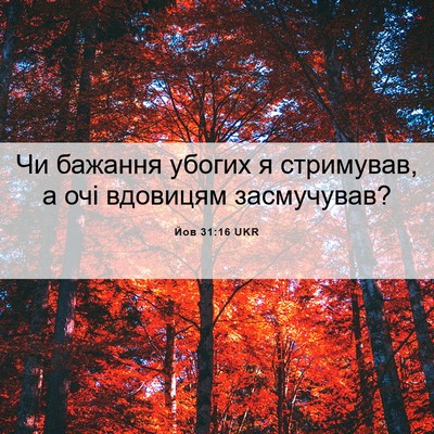 Picture 06 - Йов 31:16 UKR - Чи бажання убогих я - Bible Verse Picture