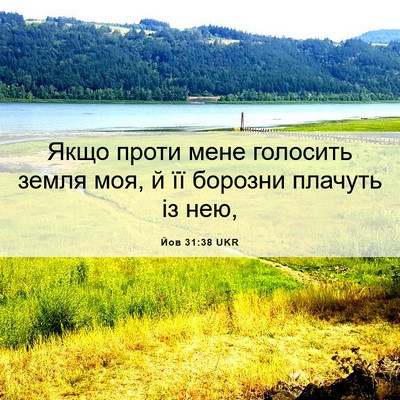Picture 06 - Йов 31:38 UKR - Якщо проти мене голосить - Bible Verse Picture