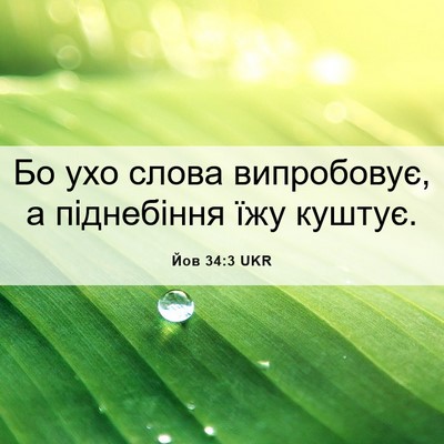 Picture 06 - Йов 34:3 UKR - Бо ухо слова випробовує, а - Bible Verse Picture
