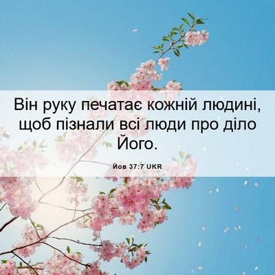 Picture 06 - Йов 37:7 UKR - Він руку печатає кожній - Bible Verse Picture