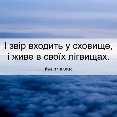 Picture 06 - Йов 37:8 UKR - І звір входить у сховище, і - Bible Verse Picture