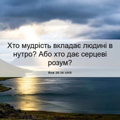 Picture 06 - Йов 38:36 UKR - Хто мудрість вкладає - Bible Verse Picture
