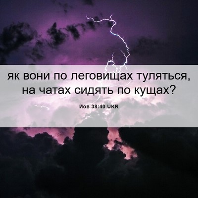 Picture 06 - Йов 38:40 UKR - як вони по леговищах - Bible Verse Picture