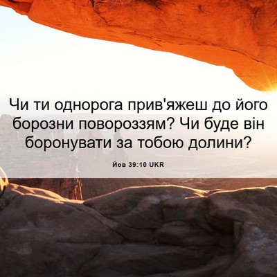 Picture 06 - Йов 39:10 UKR - Чи ти однорога прив'яжеш до - Bible Verse Picture