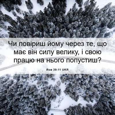 Picture 06 - Йов 39:11 UKR - Чи повіриш йому через те, - Bible Verse Picture