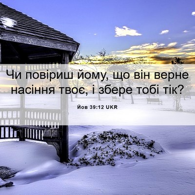 Picture 06 - Йов 39:12 UKR - Чи повіриш йому, що він - Bible Verse Picture