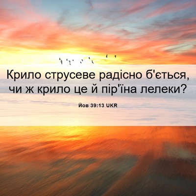 Picture 06 - Йов 39:13 UKR - Крило струсеве радісно - Bible Verse Picture