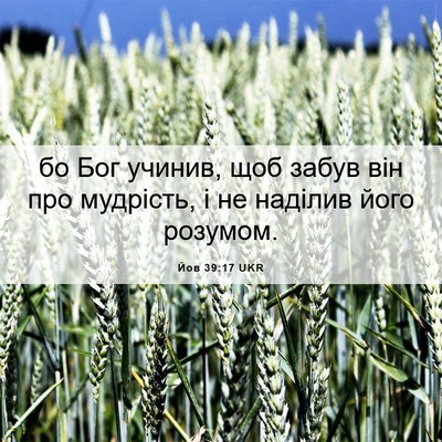 Picture 06 - Йов 39:17 UKR - бо Бог учинив, щоб забув - Bible Verse Picture