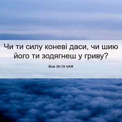 Picture 06 - Йов 39:19 UKR - Чи ти силу коневі даси, чи - Bible Verse Picture