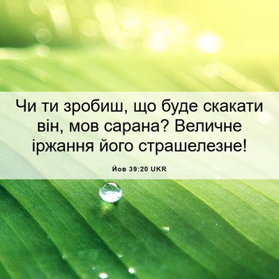 Picture 06 - Йов 39:20 UKR - Чи ти зробиш, що буде - Bible Verse Picture