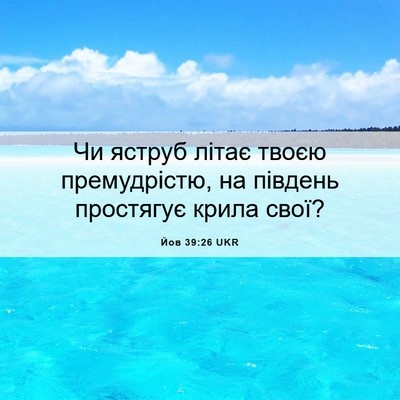 Picture 06 - Йов 39:26 UKR - Чи яструб літає твоєю - Bible Verse Picture