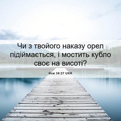 Picture 06 - Йов 39:27 UKR - Чи з твойого наказу орел - Bible Verse Picture