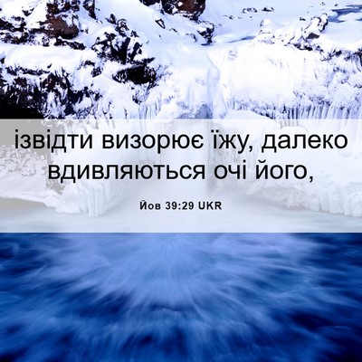 Picture 06 - Йов 39:29 UKR - ізвідти визорює їжу, - Bible Verse Picture