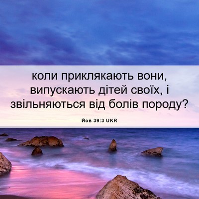 Picture 06 - Йов 39:3 UKR - коли приклякають вони, - Bible Verse Picture