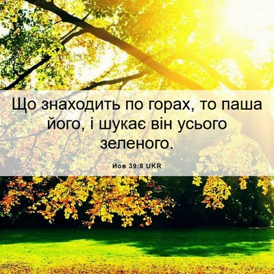 Picture 06 - Йов 39:8 UKR - Що знаходить по горах, то - Bible Verse Picture