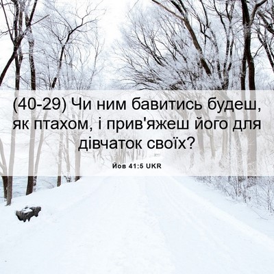 Picture 06 - Йов 41:5 UKR - (40-29) Чи ним бавитись будеш, - Bible Verse Picture